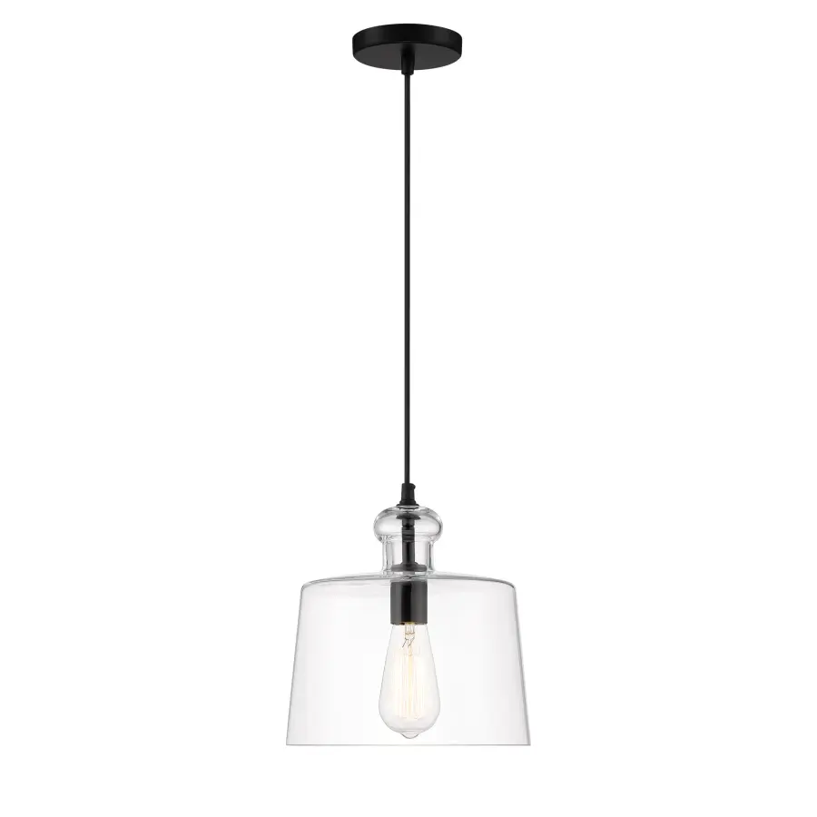 Clarity 1-Light Pendant in Coal Black - Image 1