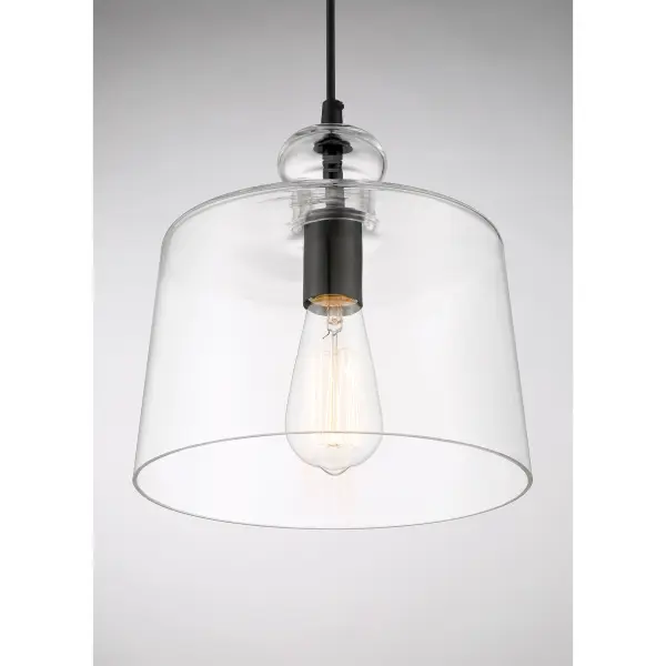 Clarity 1-Light Pendant in Coal Black - Image 2