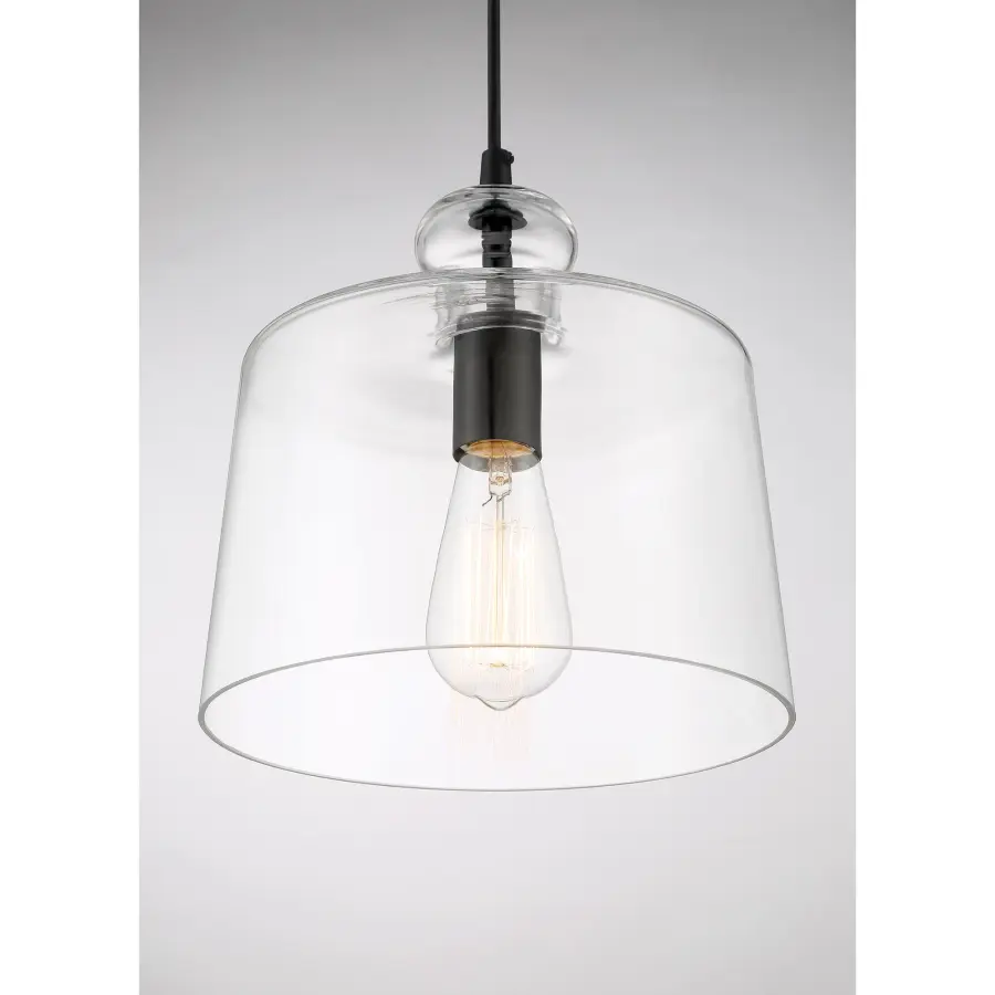 Clarity 1-Light Pendant in Coal Black - Image 5