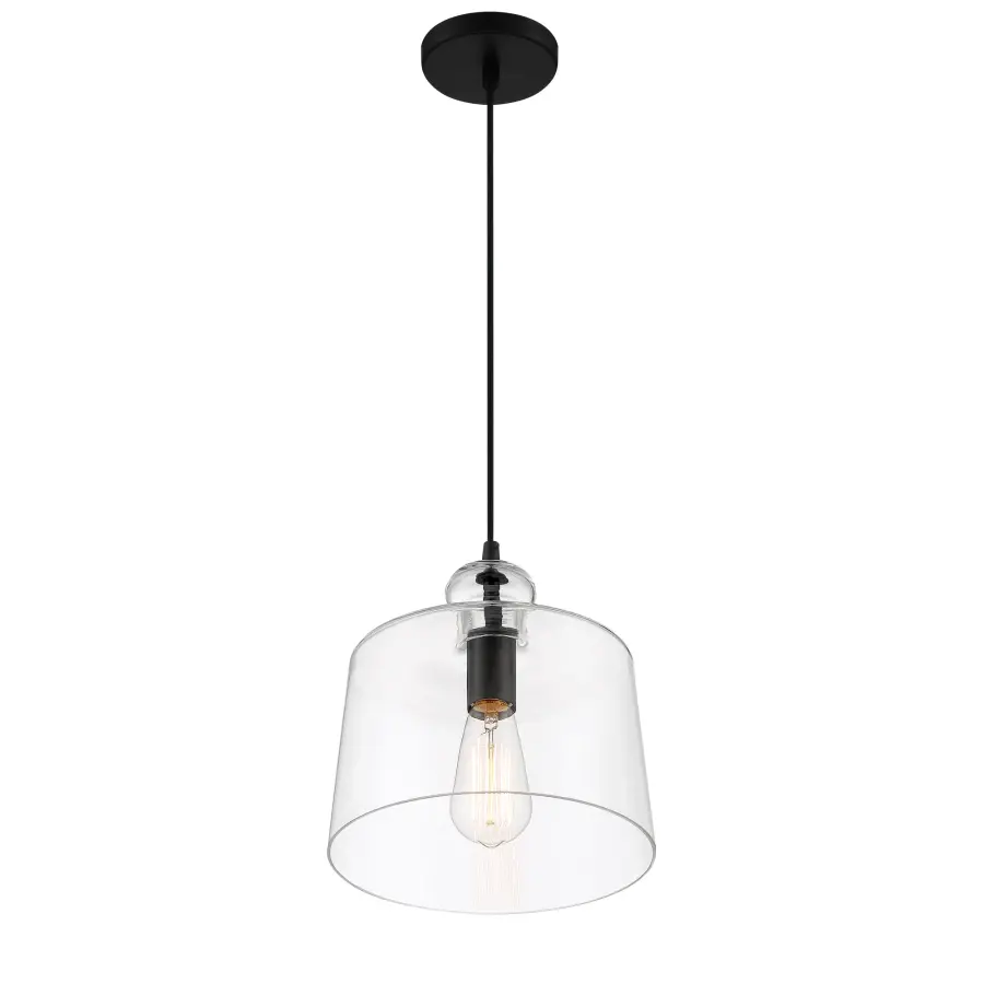 Clarity 1-Light Pendant in Coal Black - Image 6