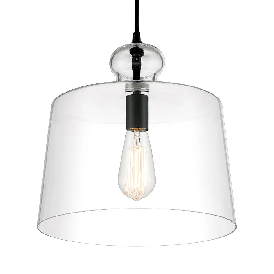 Clarity 1-Light Pendant in Coal Black - Image 1