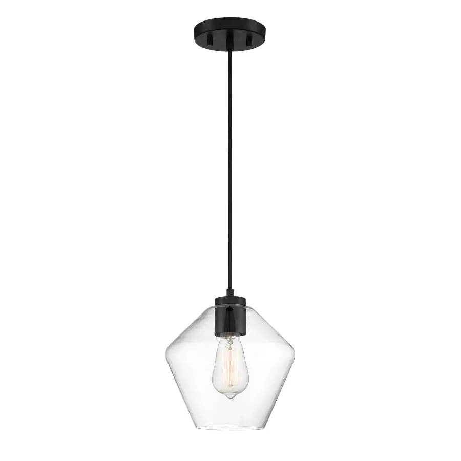 Clarity 1-Light Pendant in Coal Black - Image 1