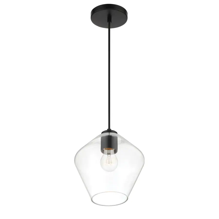 Clarity 1-Light Pendant in Coal Black - Image 3