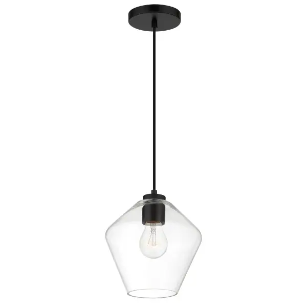 Clarity 1-Light Pendant in Coal Black - Image 5
