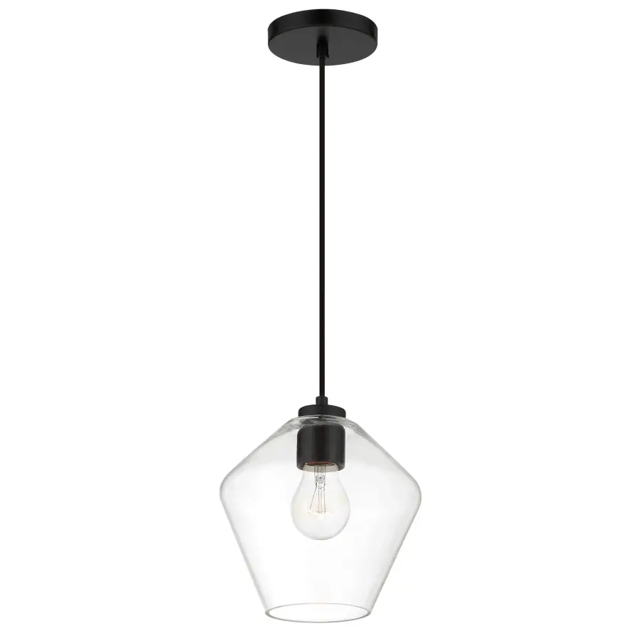 Clarity 1-Light Pendant in Coal Black - Image 5