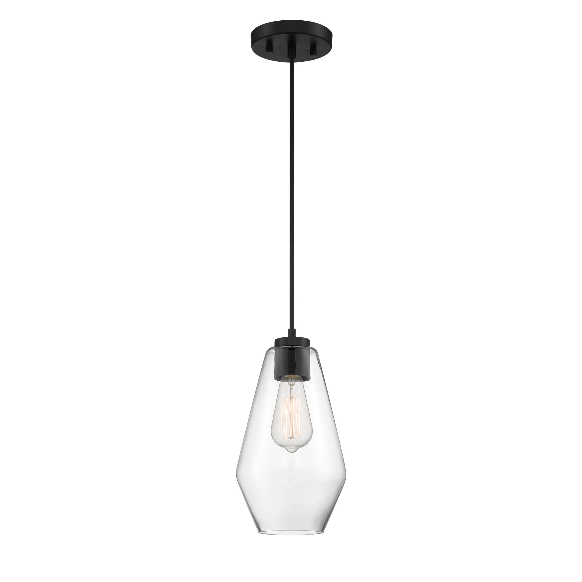 Clarity 1-Light Pendant in Coal Black