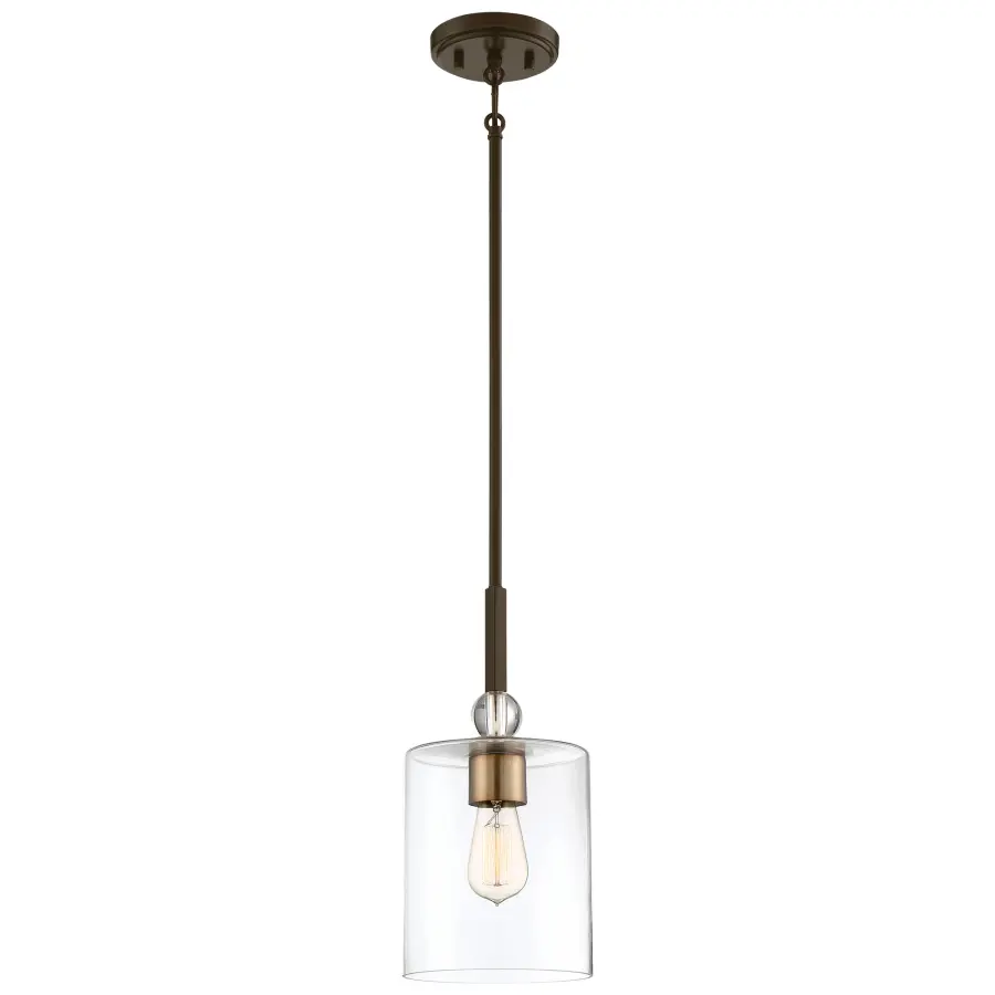 Compact Transitional Pendant with Mixed Metal Finish