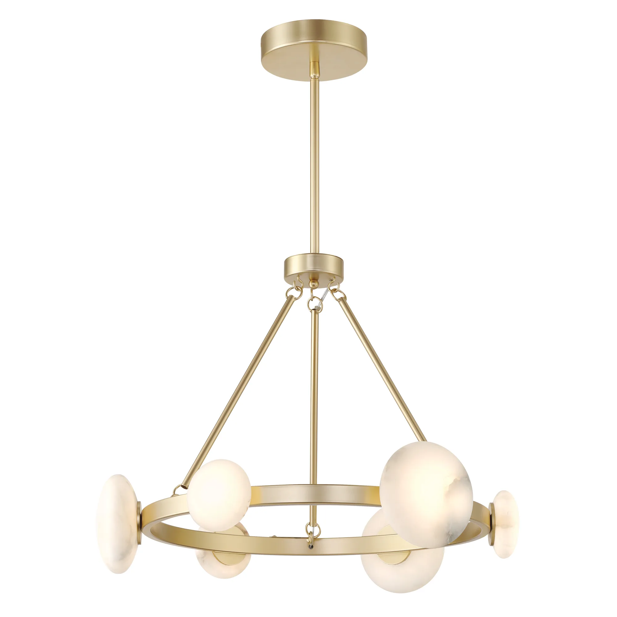 Zill 6-Light Chandelier in Lily Gold