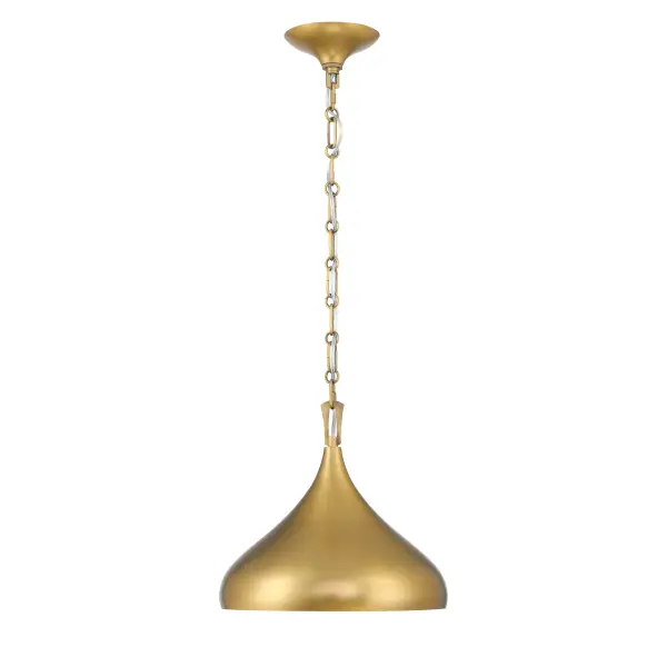 Cedar Lane 12.75" 1-Light Pendant in Legacy Brass - Image 8