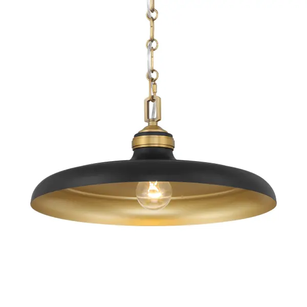 Crowne 16" 1-Light Pendant in Dark Matte Black and Legacy Brass - Image 1
