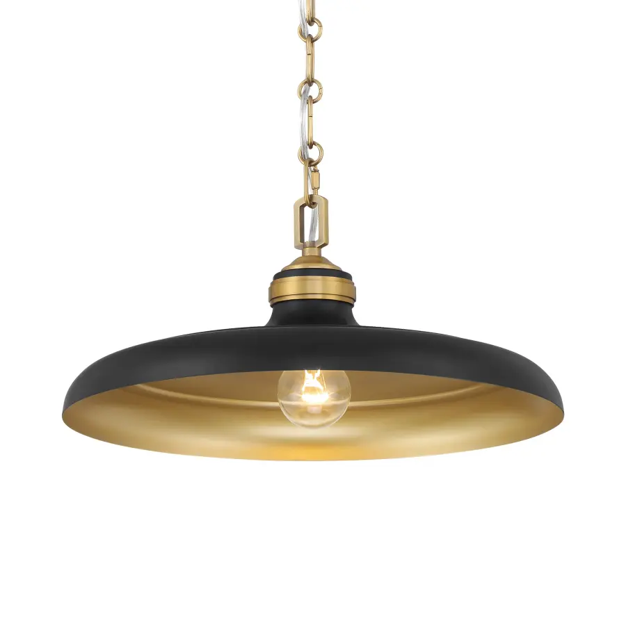 Crowne 16" 1-Light Pendant in Dark Matte Black and Legacy Brass - Image 1