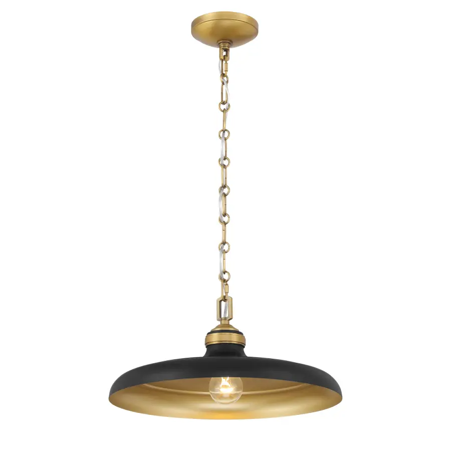 Crowne 16" 1-Light Pendant in Dark Matte Black and Legacy Brass - Image 11