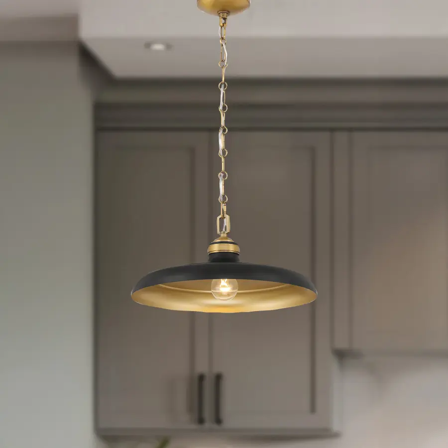 Crowne 16" 1-Light Pendant in Dark Matte Black and Legacy Brass - Image 5