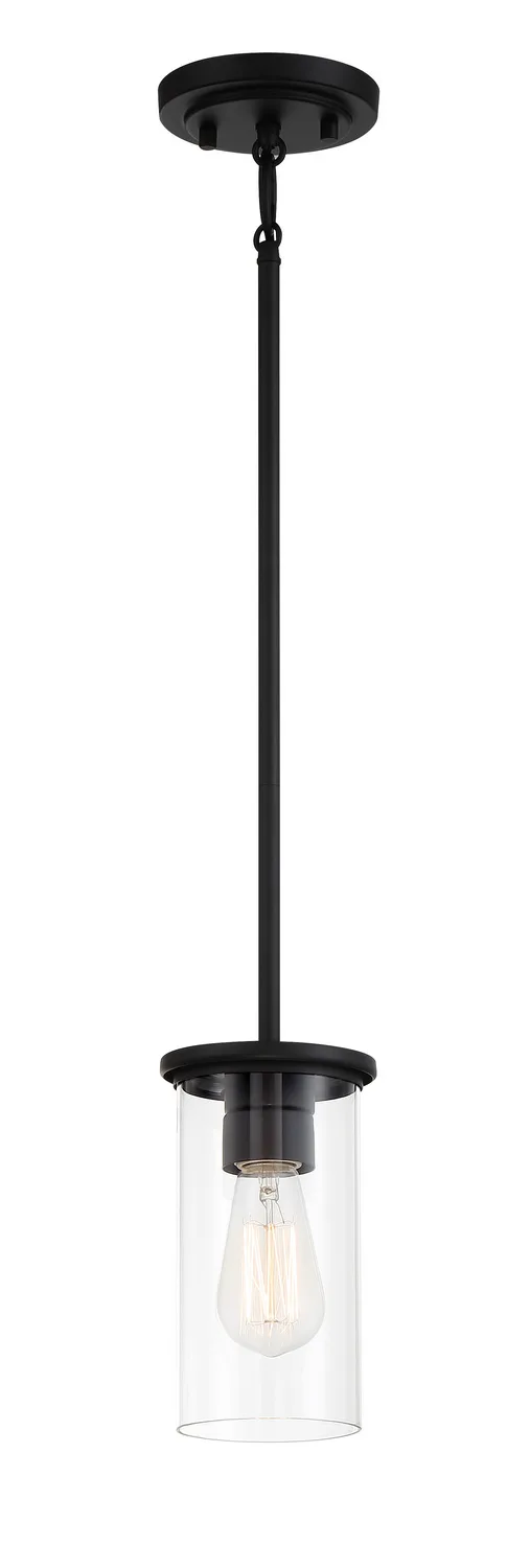 Haisley One Light Pendant / Semi Flush in Coal
