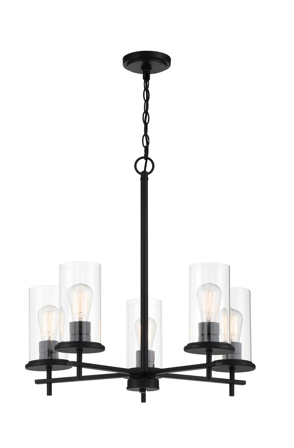 Haisley Five Light Chandelier in Coal