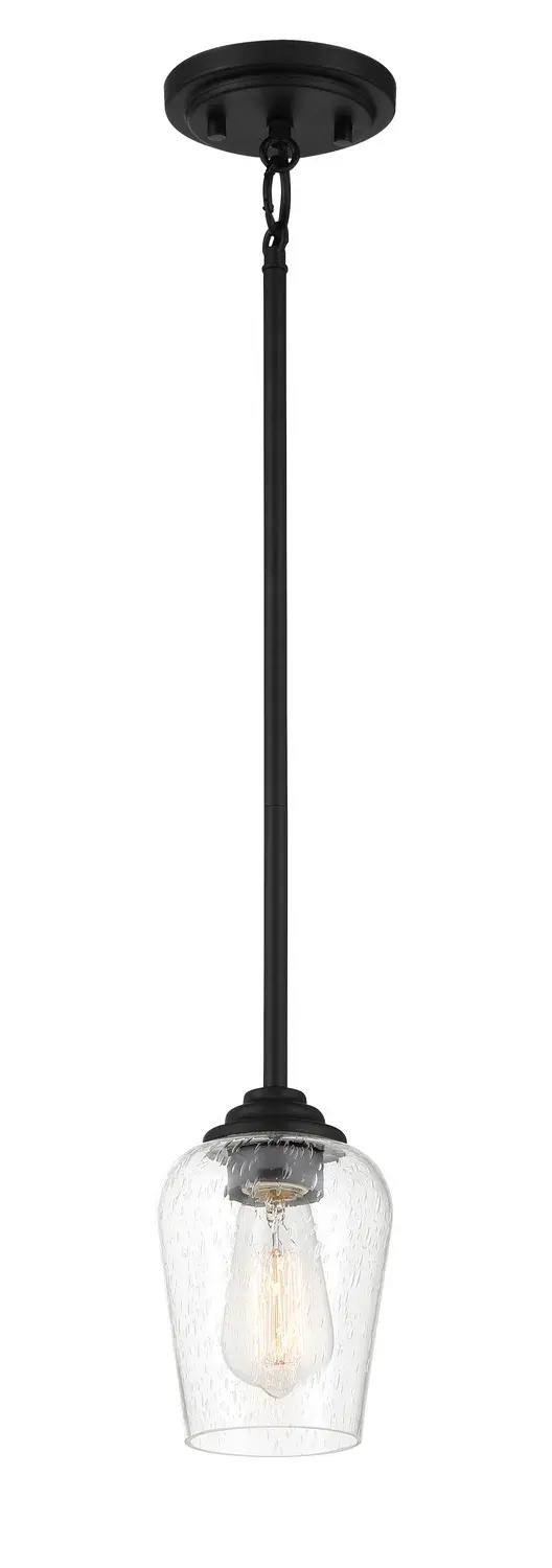 Shyloh 1-Light Pendant with Clear Seeded Glass - Image 1