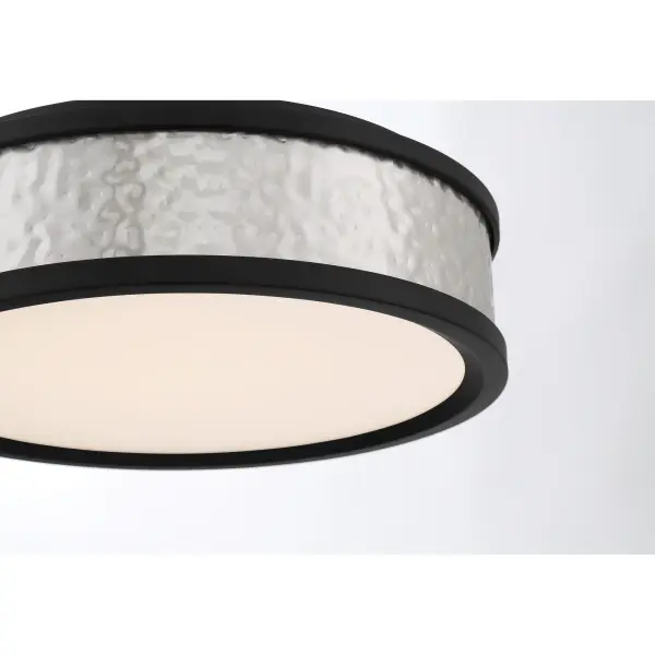 12" LED Flush Mount in Brushed Nickel and Coal - Image 4