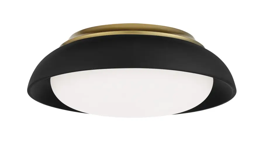 15" LED Flush Mount in Sand Coal with Honey Gold