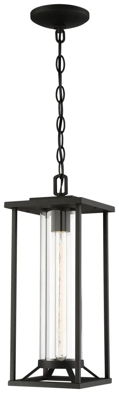 Trescott 1-Light Chain Hung Lantern - Image 1