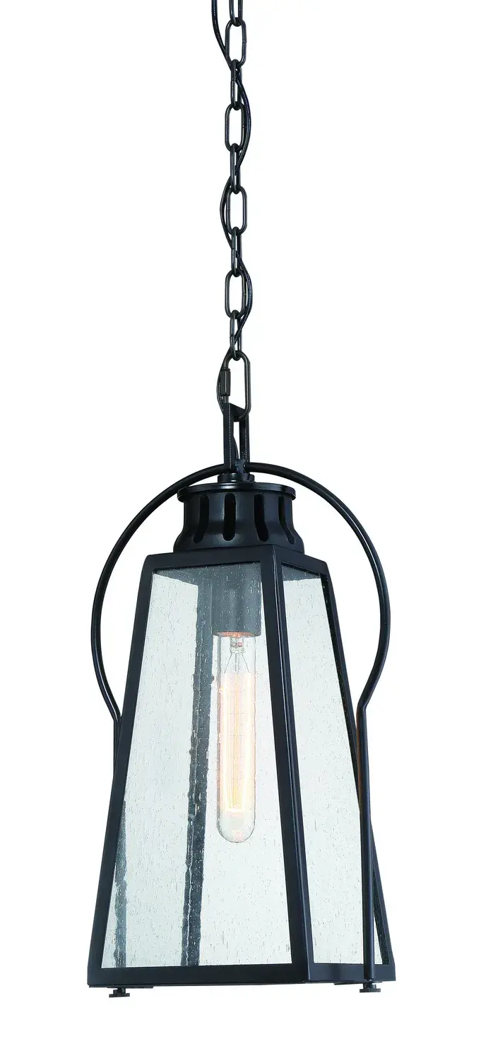 Halder Bridge 1-Light Outdoor Chain Hung Lantern