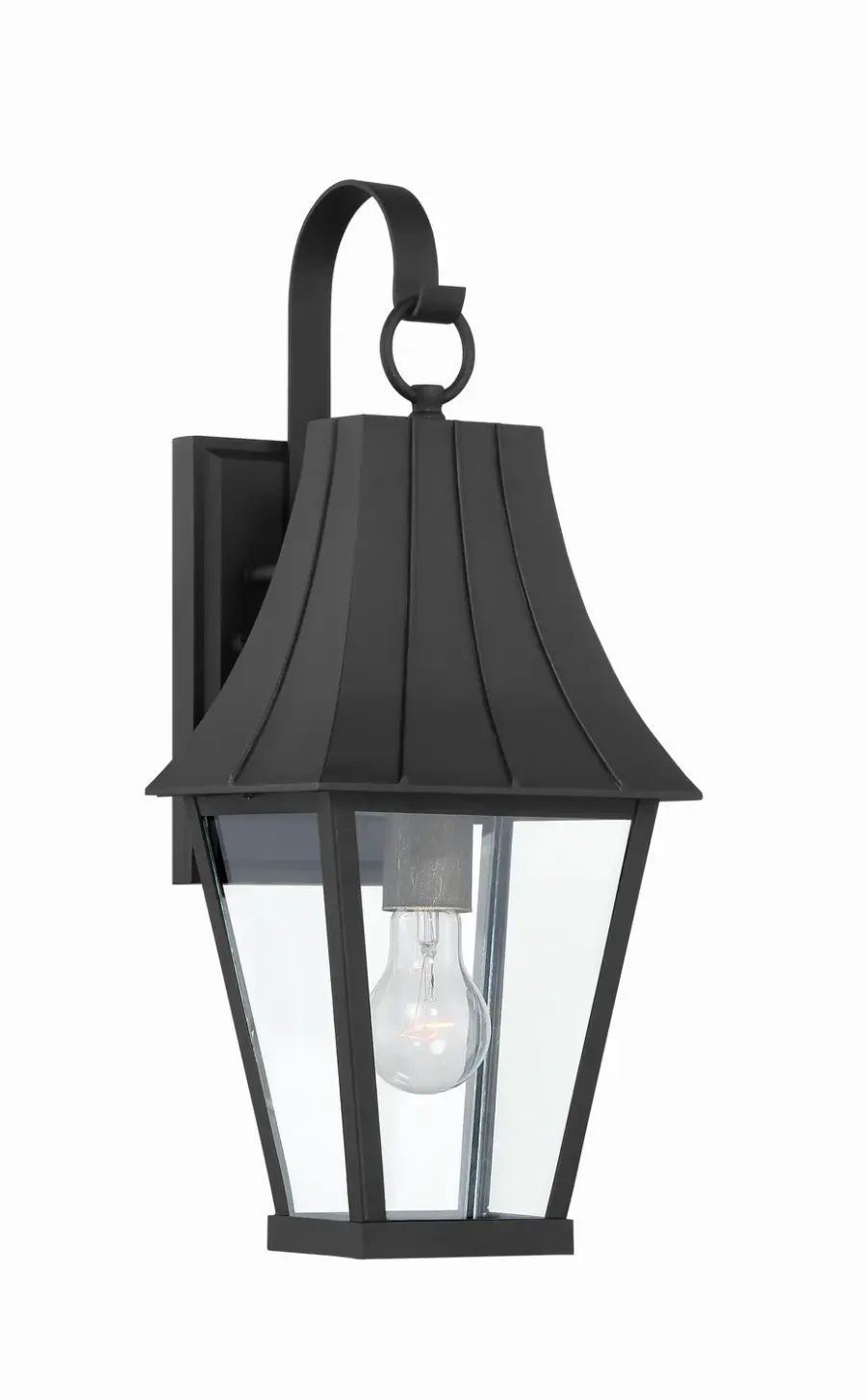 Chateau Grande 1-Light Outdoor Wall Lantern - Image 1