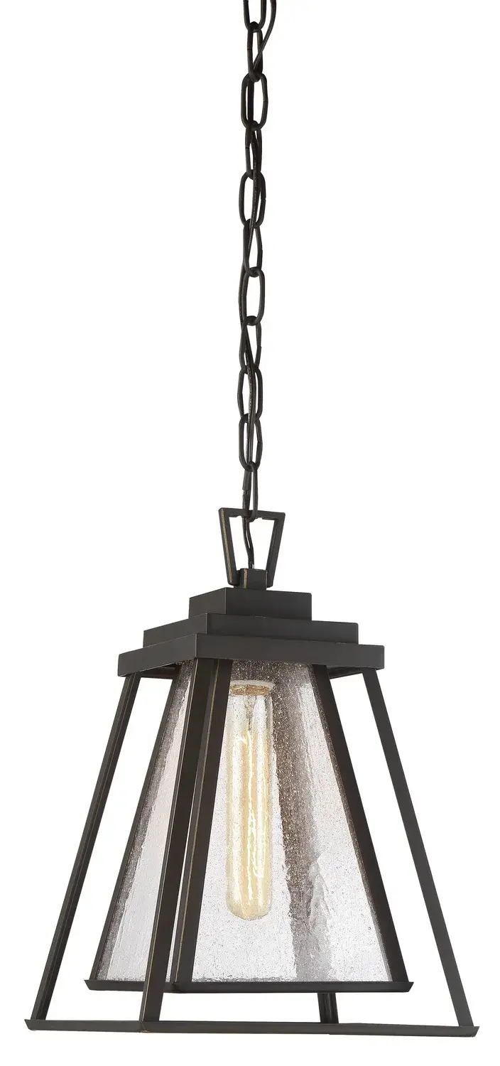 Sleepy Hollow 1-Light Outdoor Chain Hung Lantern