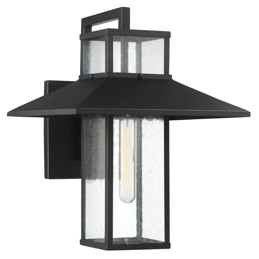 Danforth Park 1-Light Wall Sconce