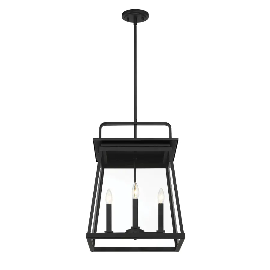 Isla Vista 4-Light Outdoor Foyer Pendant - Image 3