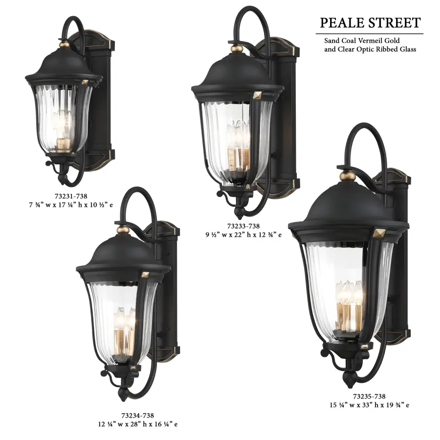 Peale Street 1-Light Outdoor Wall Lantern - Image 2