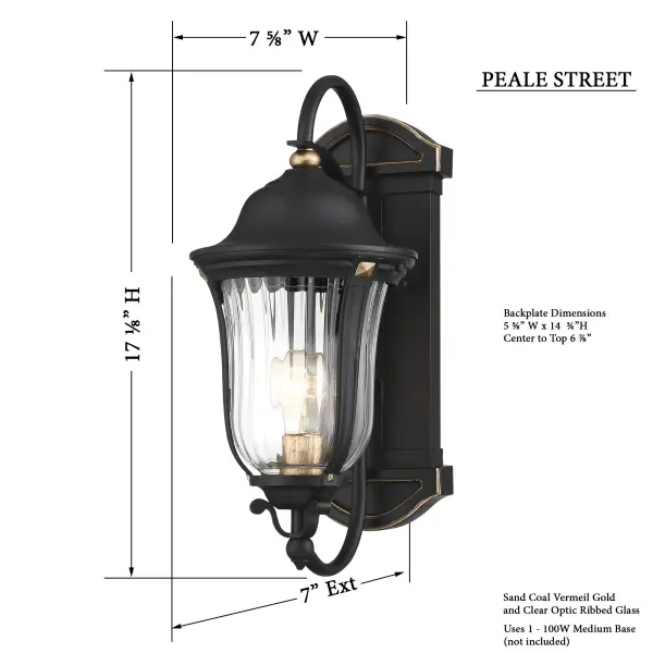 Peale Street 1-Light Outdoor Wall Lantern - Image 3