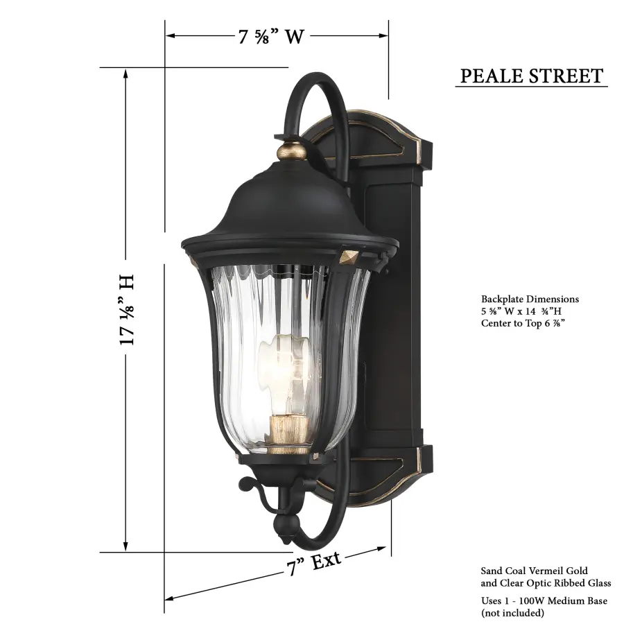 Peale Street 1-Light Outdoor Wall Lantern - Image 3