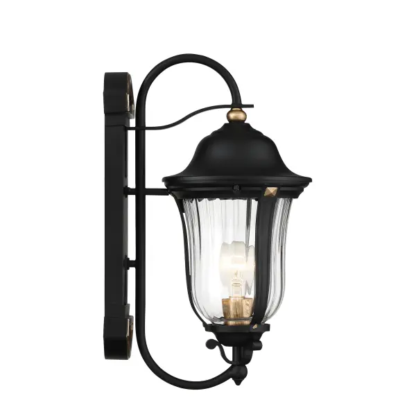 Peale Street 1-Light Outdoor Wall Lantern - Image 4