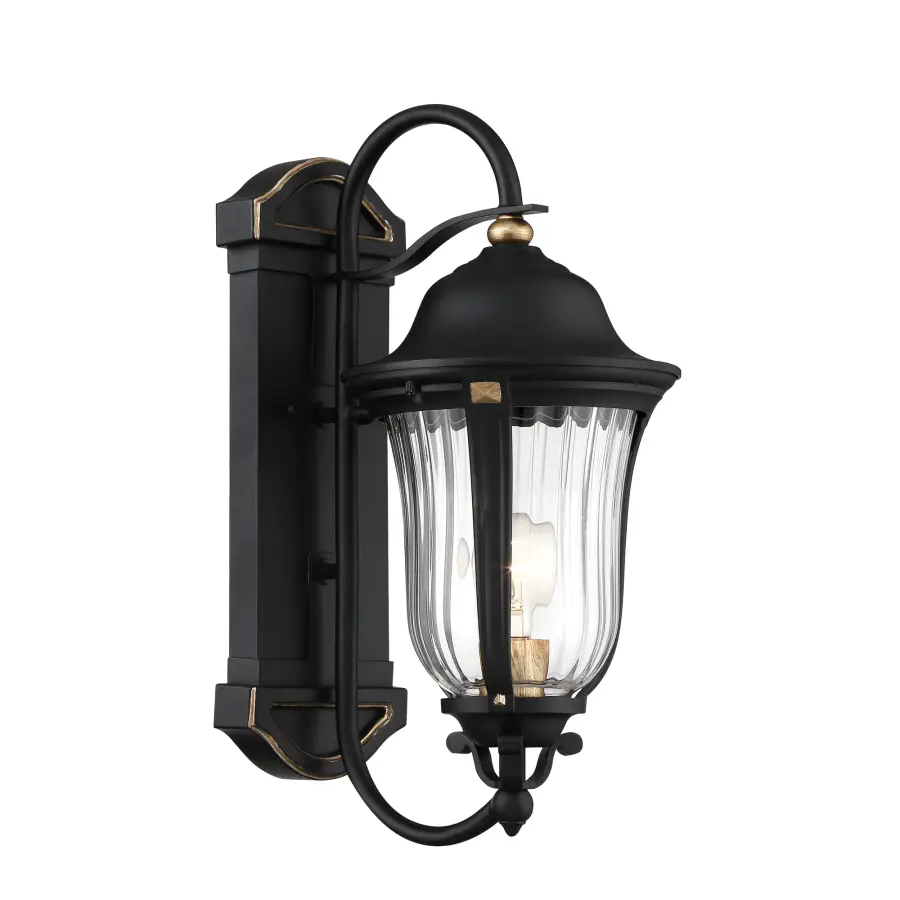 Peale Street 1-Light Outdoor Wall Lantern - Image 5