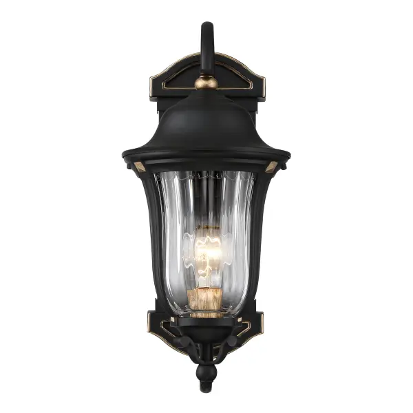 Peale Street 1-Light Outdoor Wall Lantern - Image 6