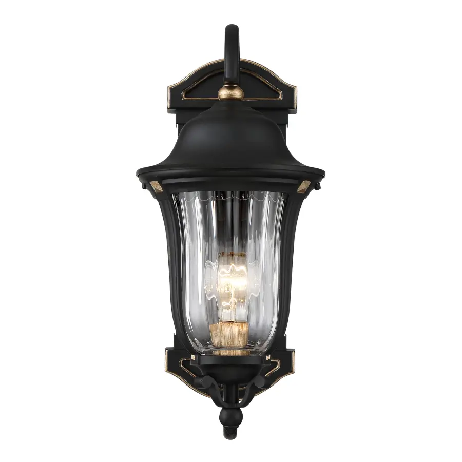 Peale Street 1-Light Outdoor Wall Lantern - Image 6
