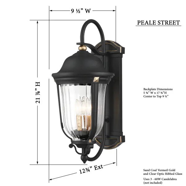 Peale Street 3-Light Outdoor Wall Lantern - Image 3