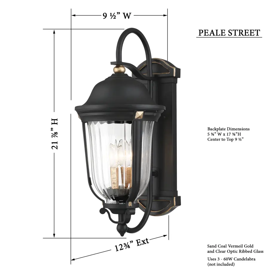 Peale Street 3-Light Outdoor Wall Lantern - Image 3