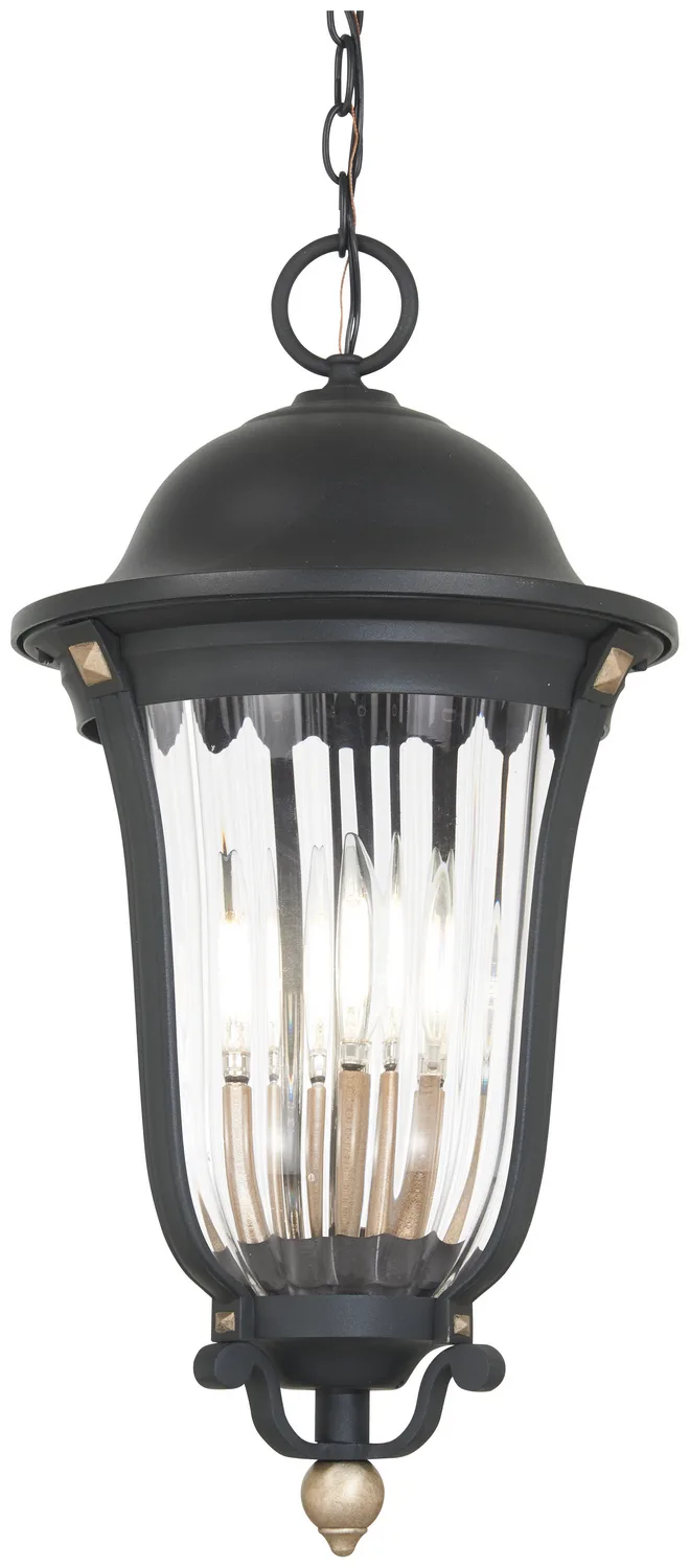 Peale Street - 4 Light Outdoor Chain Hung