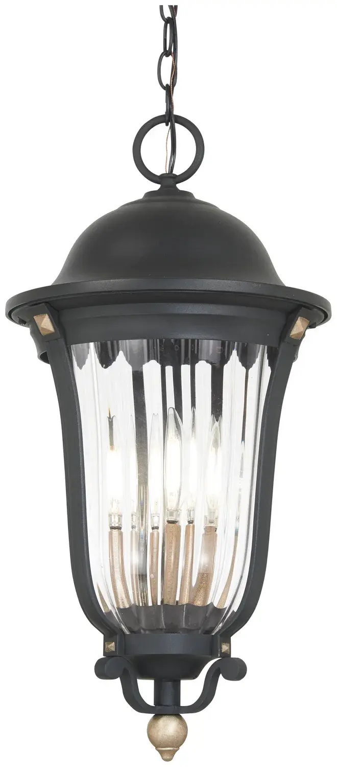 Peale Street 4-Light Outdoor Chain Hung Lantern - Image 1