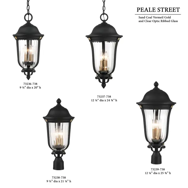 Peale Street 4-Light Outdoor Chain Hung Lantern - Image 2