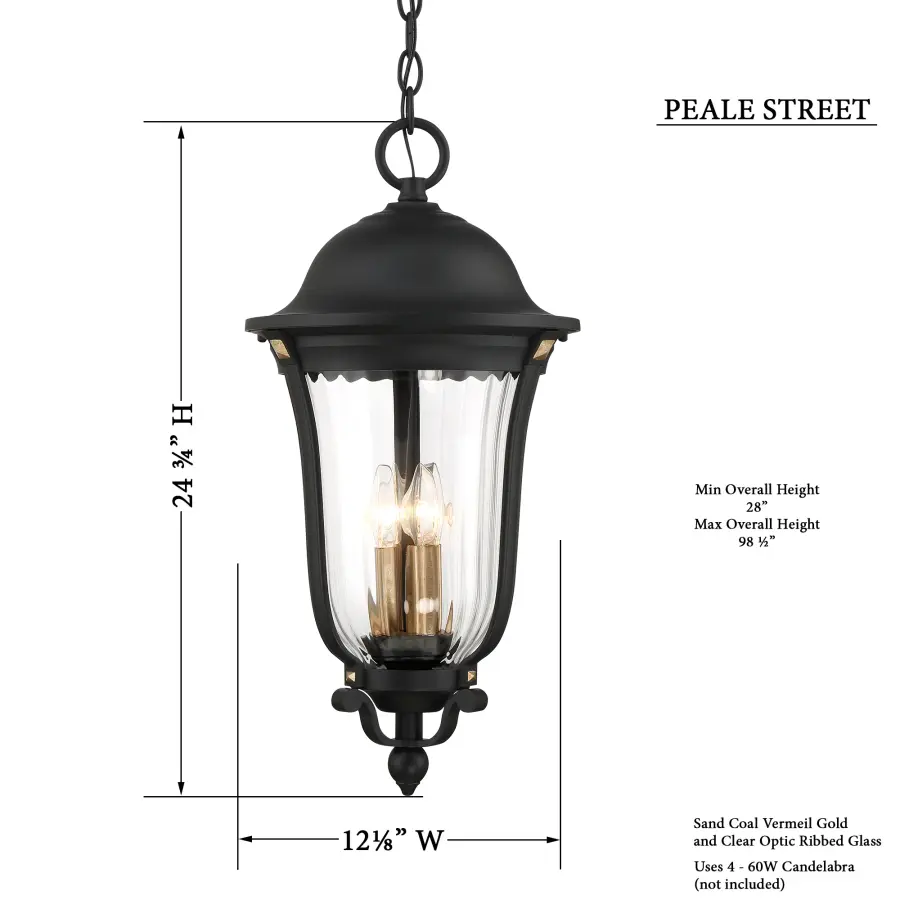 Peale Street 4-Light Outdoor Chain Hung Lantern - Image 3