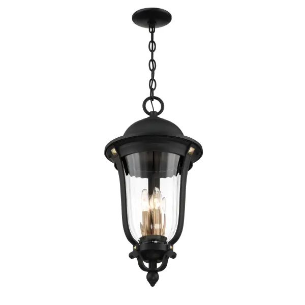 Peale Street 4-Light Outdoor Chain Hung Lantern - Image 4
