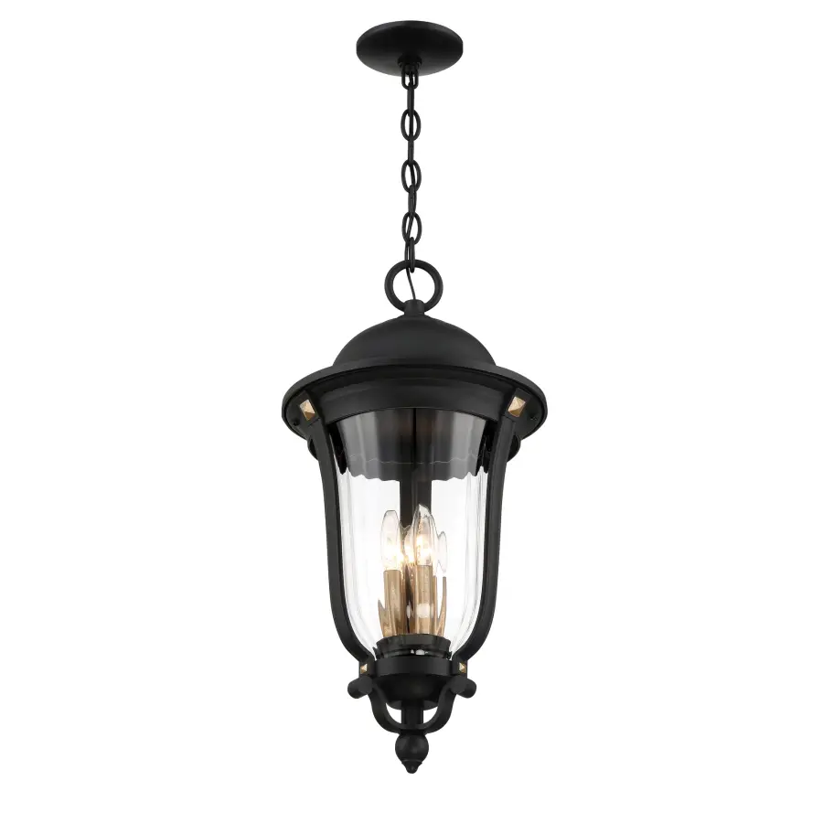 Peale Street 4-Light Outdoor Chain Hung Lantern - Image 4