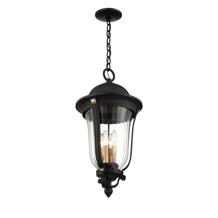 Peale Street 4-Light Outdoor Chain Hung Lantern - Image 5