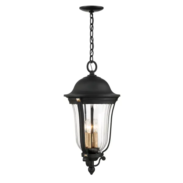 Peale Street 4-Light Outdoor Chain Hung Lantern - Image 6