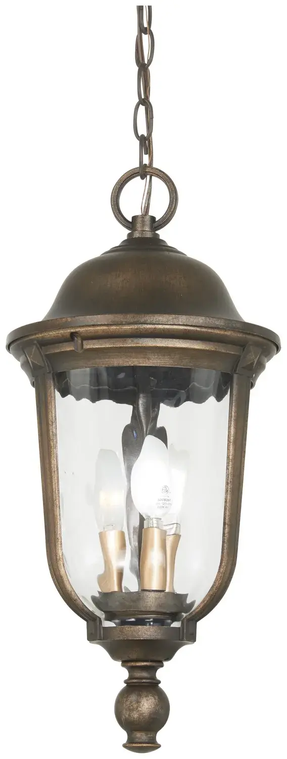 Havenwood 3-Light Chain Hung Lantern - Image 1