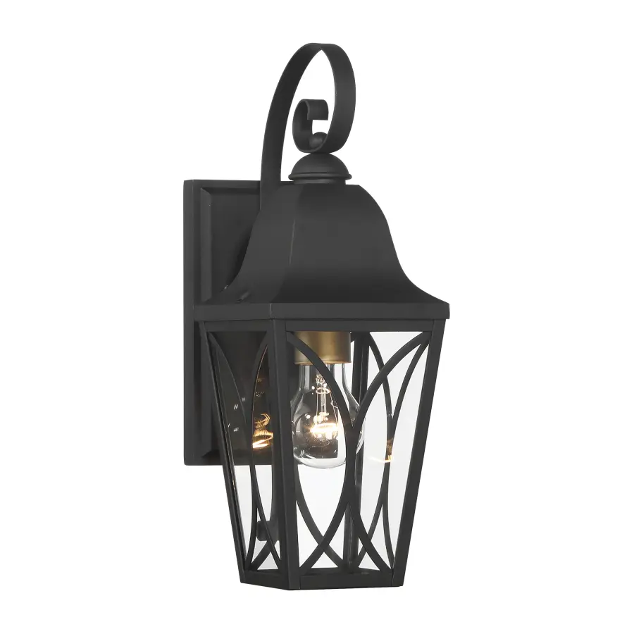 Cardigan 1-Light Outdoor Wall Sconce - Image 1