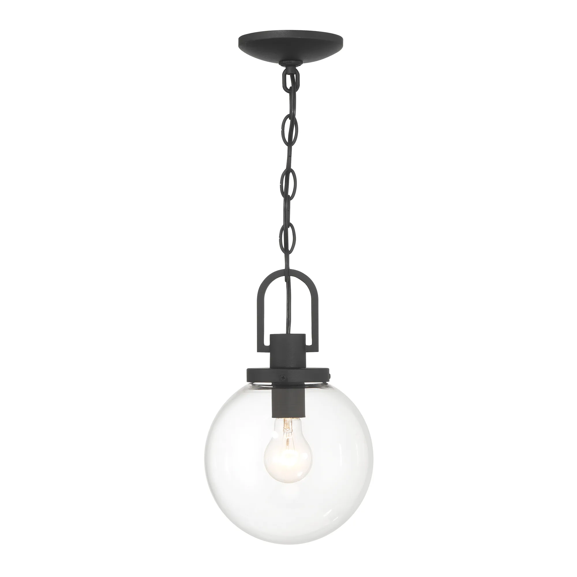 Wenston 1-Light Outdoor Pendant in Sand Coal Black