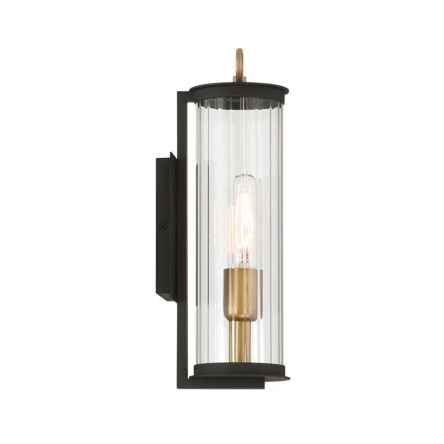 Cara 14" Outdoor Wall Sconce - Image 8