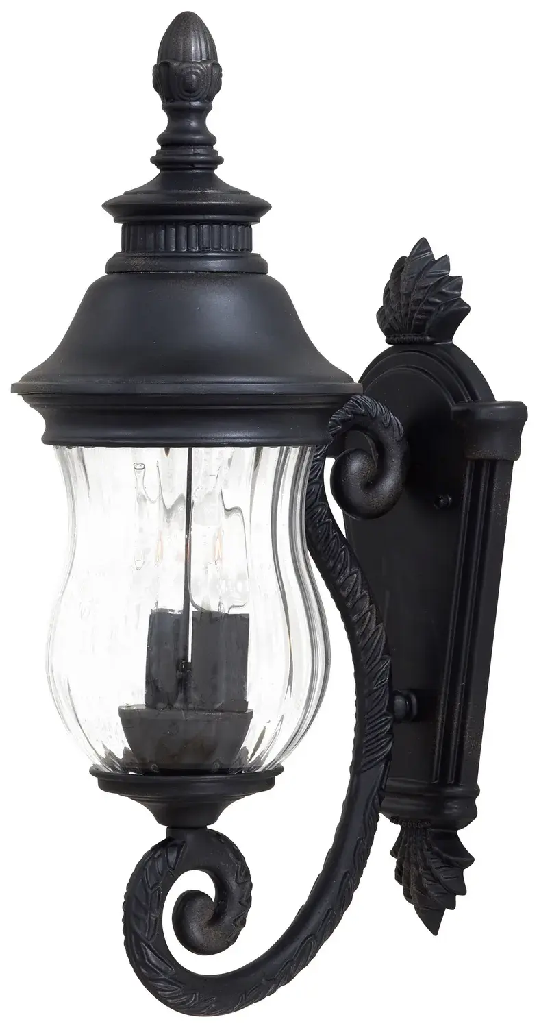 Newport 2-Light Outdoor Wall Lantern